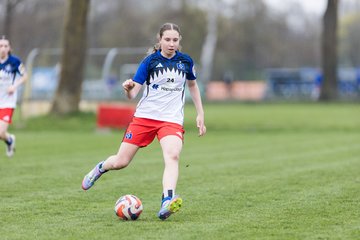 Bild 192 - wBJ Hamburger SV - Eimsbuettler TV : Ergebnis: 4:0